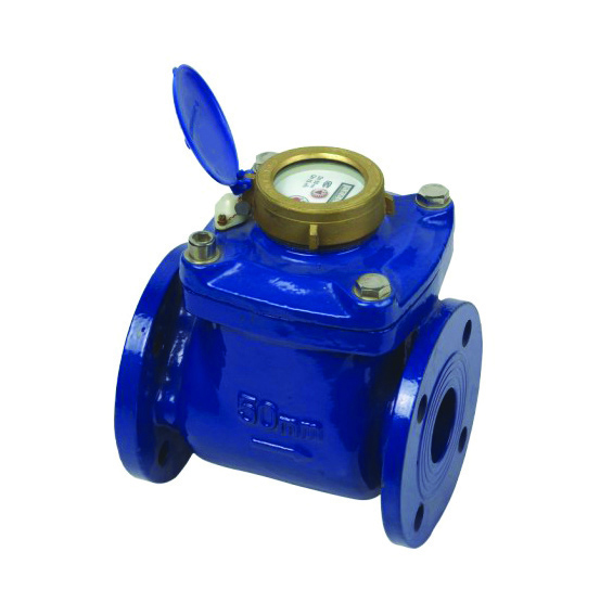 Water & Flow Meters